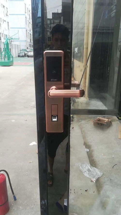 坪山安裝指紋鎖與安防工程服務詳解